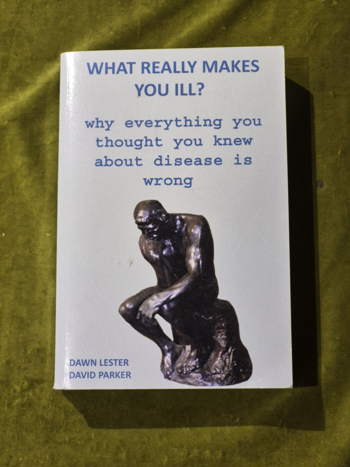 What Really Makes You Ill? By David Parker & Dawn Lester 2019 Paperback0
