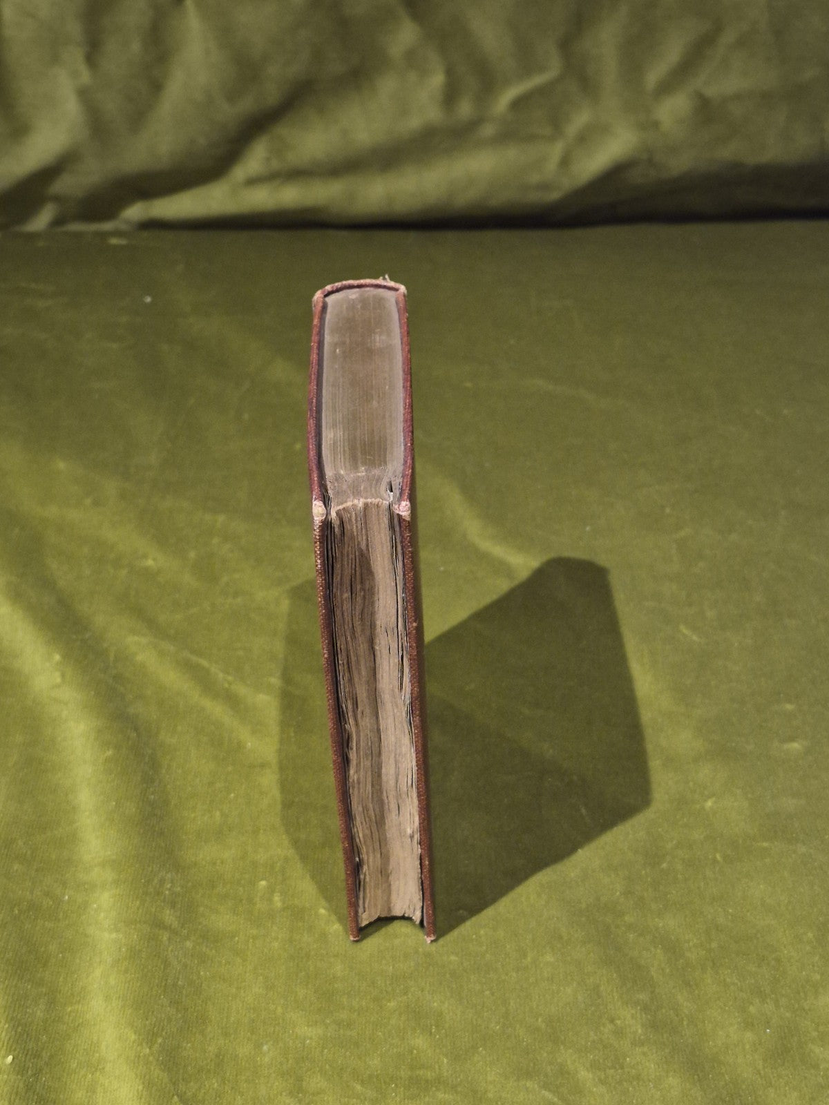 Johannis Lomejeri Zutphaniensis DIERUM GENIALIUM - 1694 - Decas 1 1st Edition 8