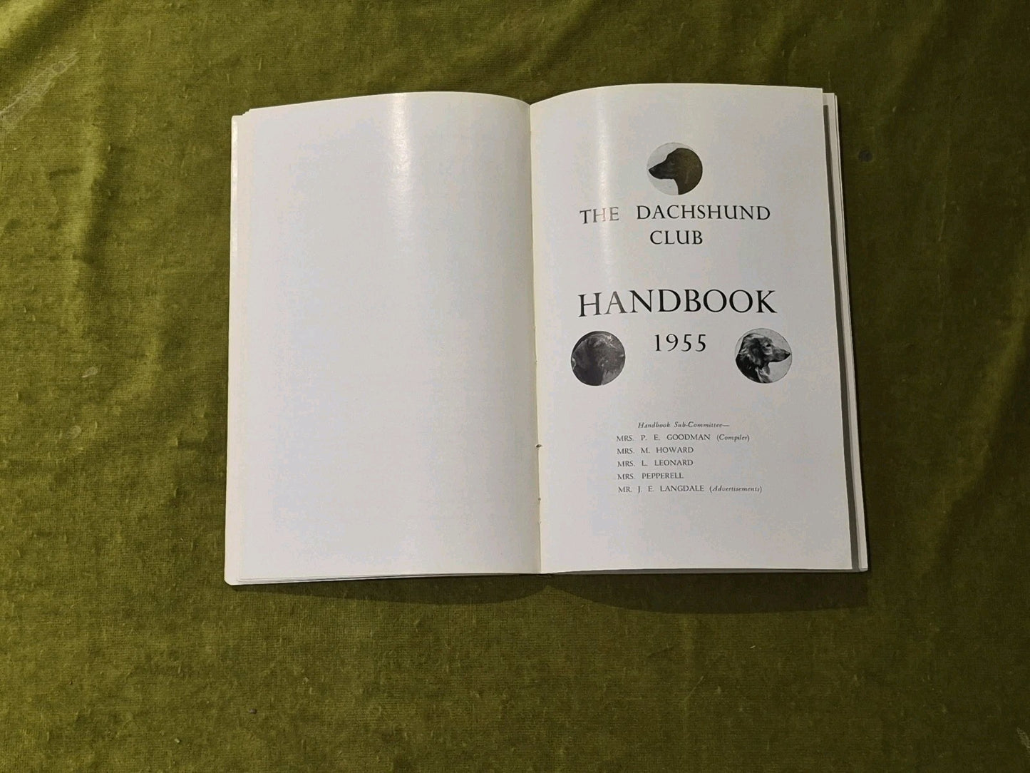 The Dachshund Club Handbook 19555