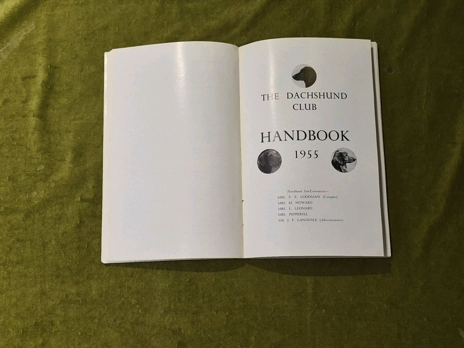 The Dachshund Club Handbook 19555