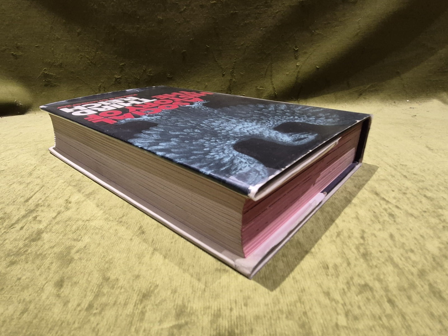 A Social History Of Nazi Germany by Richard Grunberger4