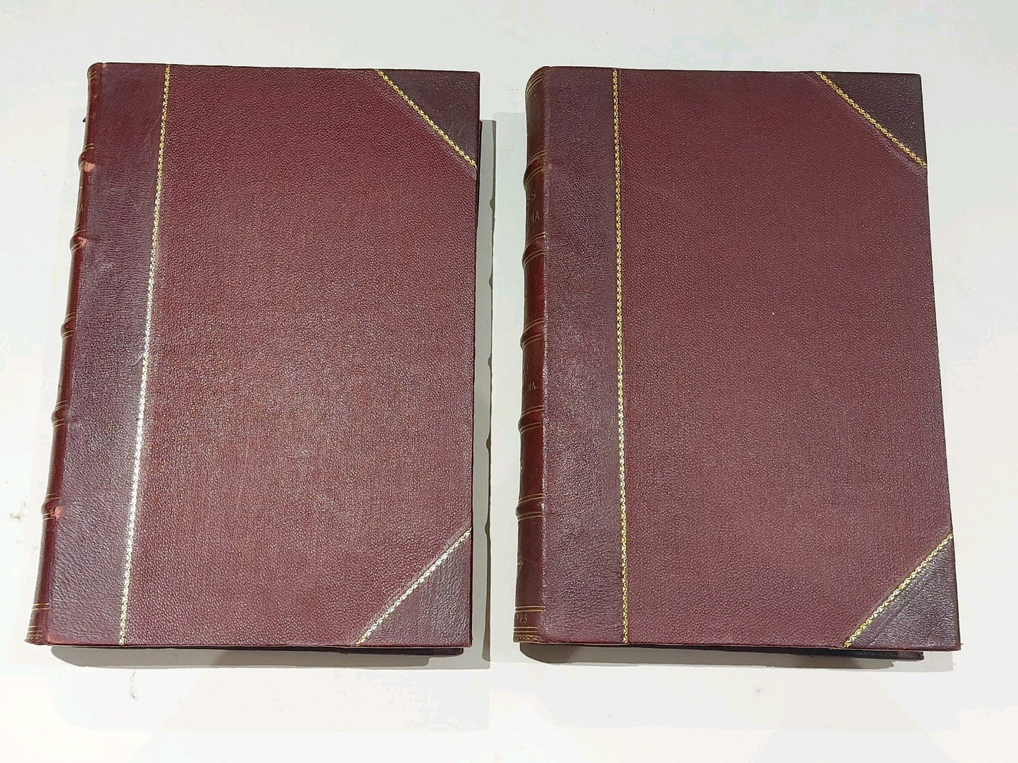 Chamber's Encyclopaedia 10 Vol Set (1901) Heavy Quarter Leather Bound Books6