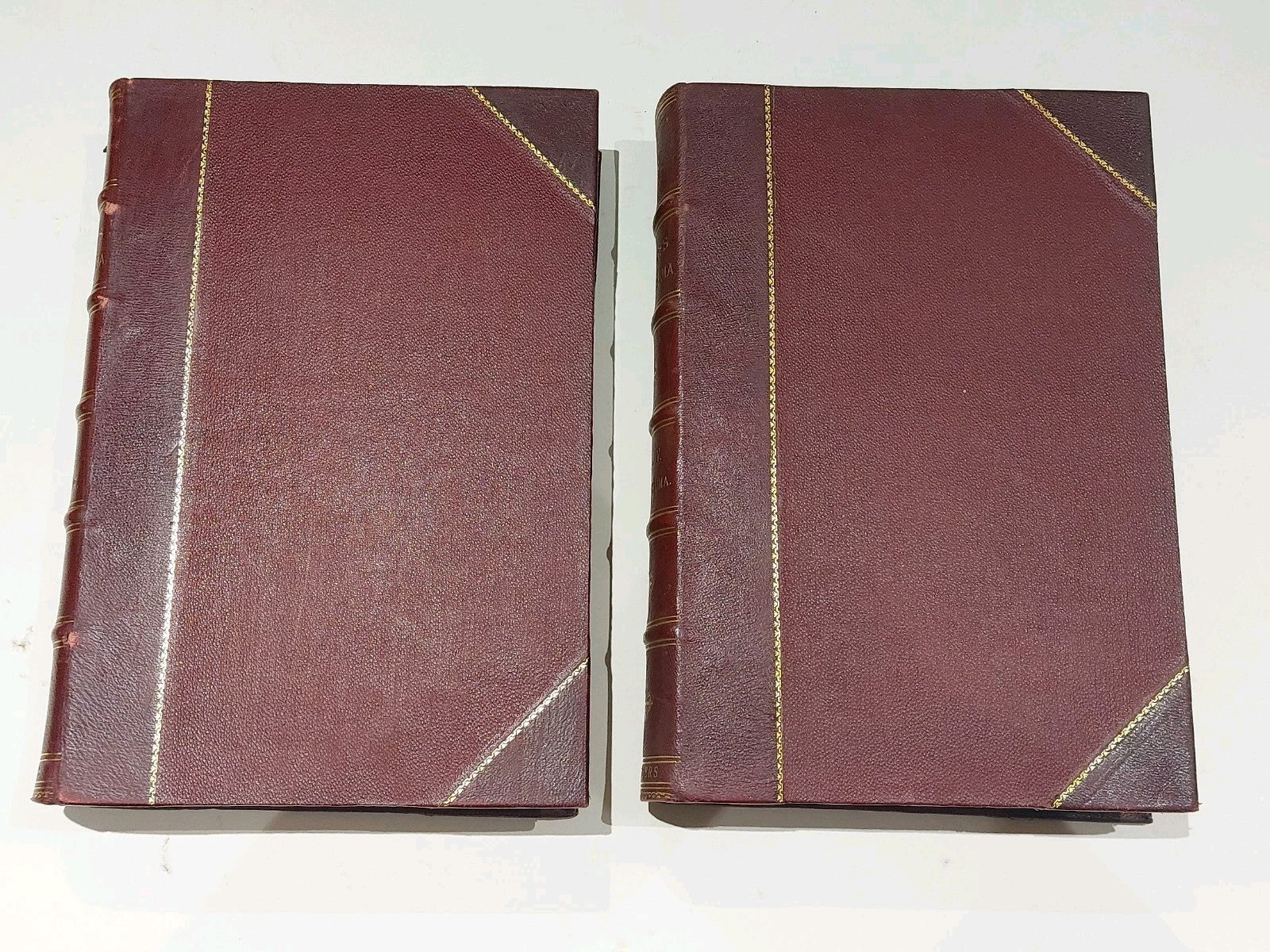 Chamber's Encyclopaedia 10 Vol Set (1901) Heavy Quarter Leather Bound Books6