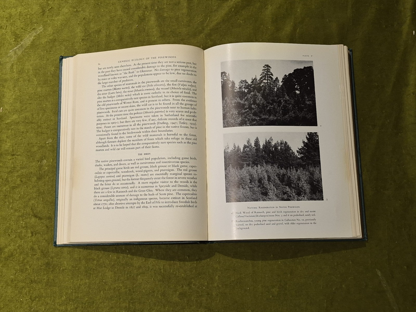 The Native Pinewoods of Scotland by H. M Steven & A. Carlisle, 1st edition, 19596