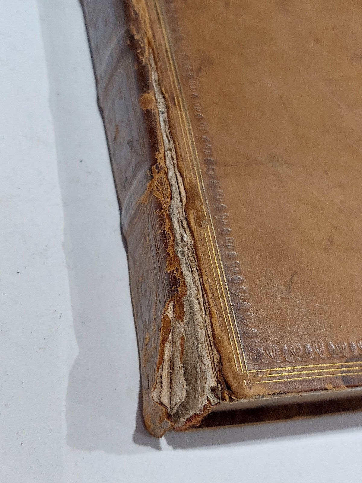 The Works Of Samuel Johnson Complete Set Of 12 Twelve Volumes (1824) Leather9