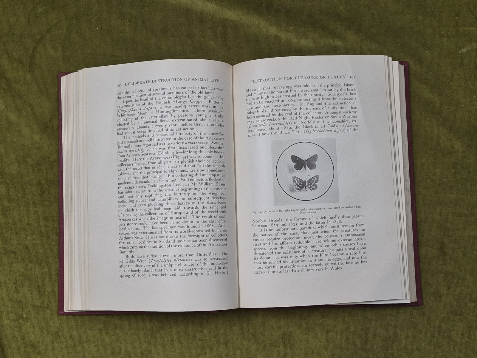 The Influence Of Man On Animal Life In Scotland - James Ritchie, Cambridge 19206