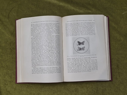 The Influence Of Man On Animal Life In Scotland - James Ritchie, Cambridge 19206