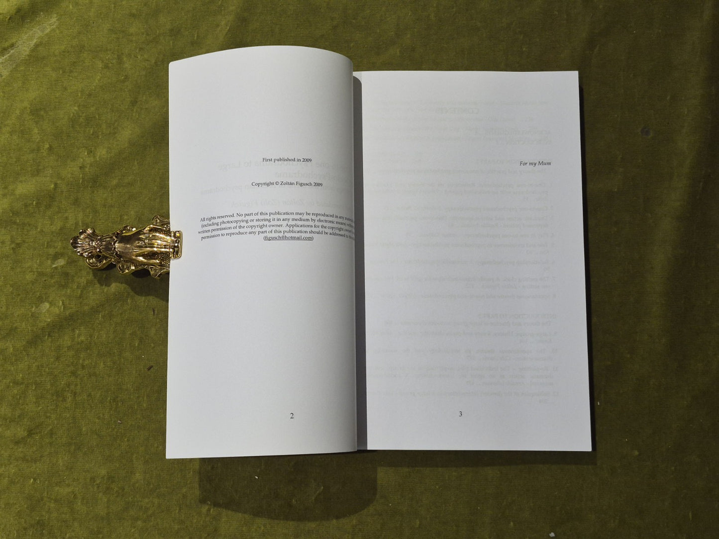 Brazilian Psychodrama , Zoltan Figusch 2009 Paperback4