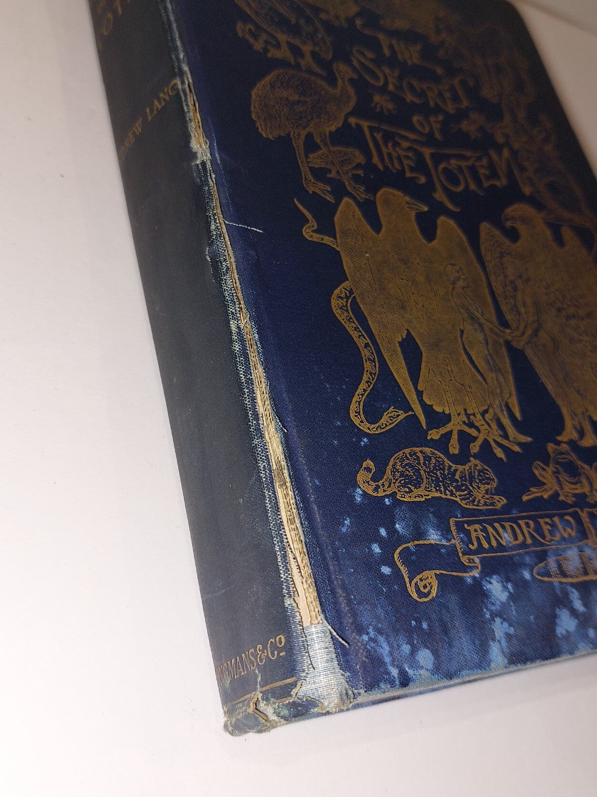 The Secret of the Totem by Andrew Lang (1905 first edition)3