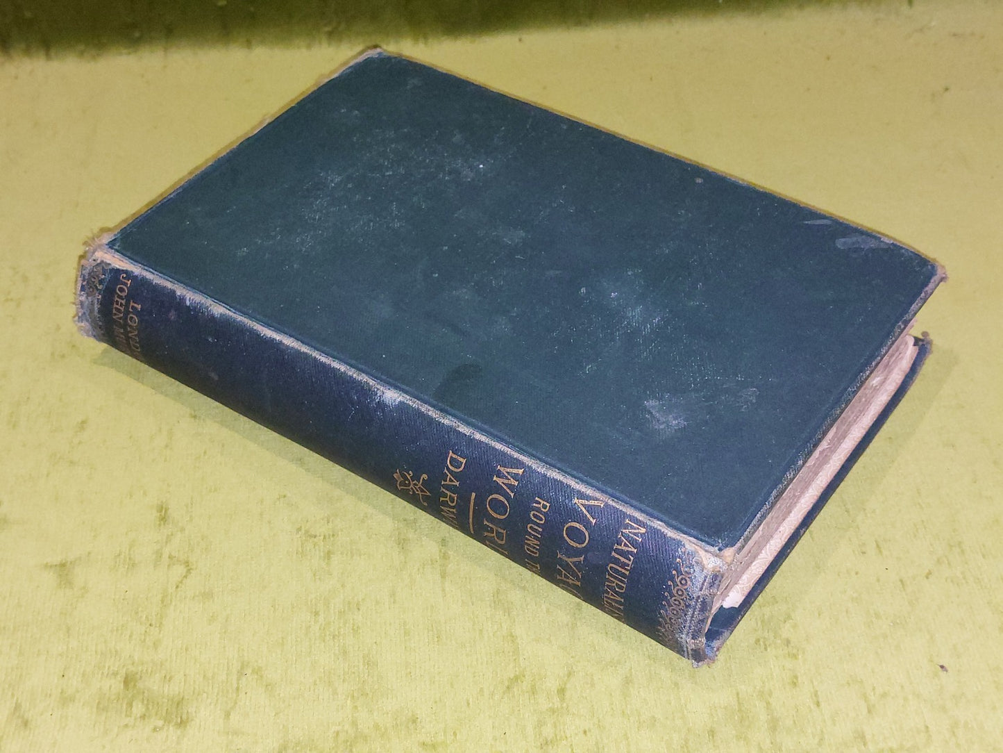 CHARLES DARWIN NATURALIST'S VOYAGE AROUND THE WORLD 1890 EDITION1
