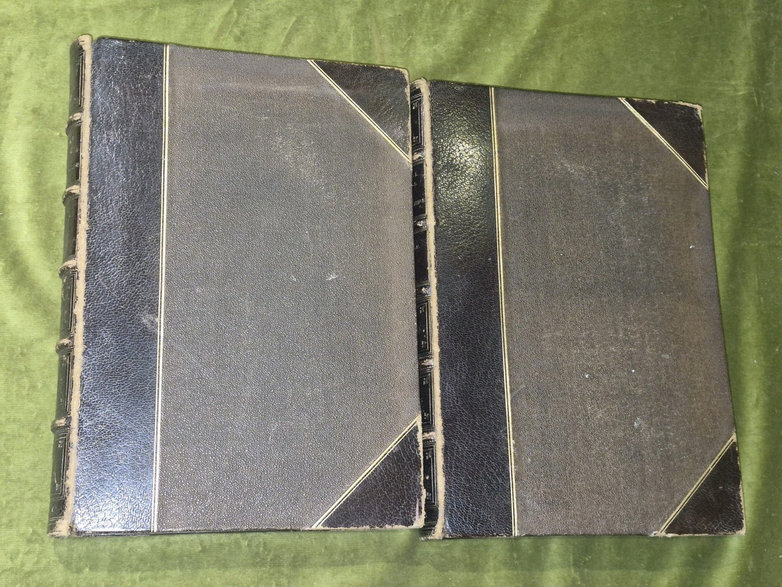 Judicial Records of Renfrewshire 1876/8 William Hector Series 1 + 2 Leather Bind1