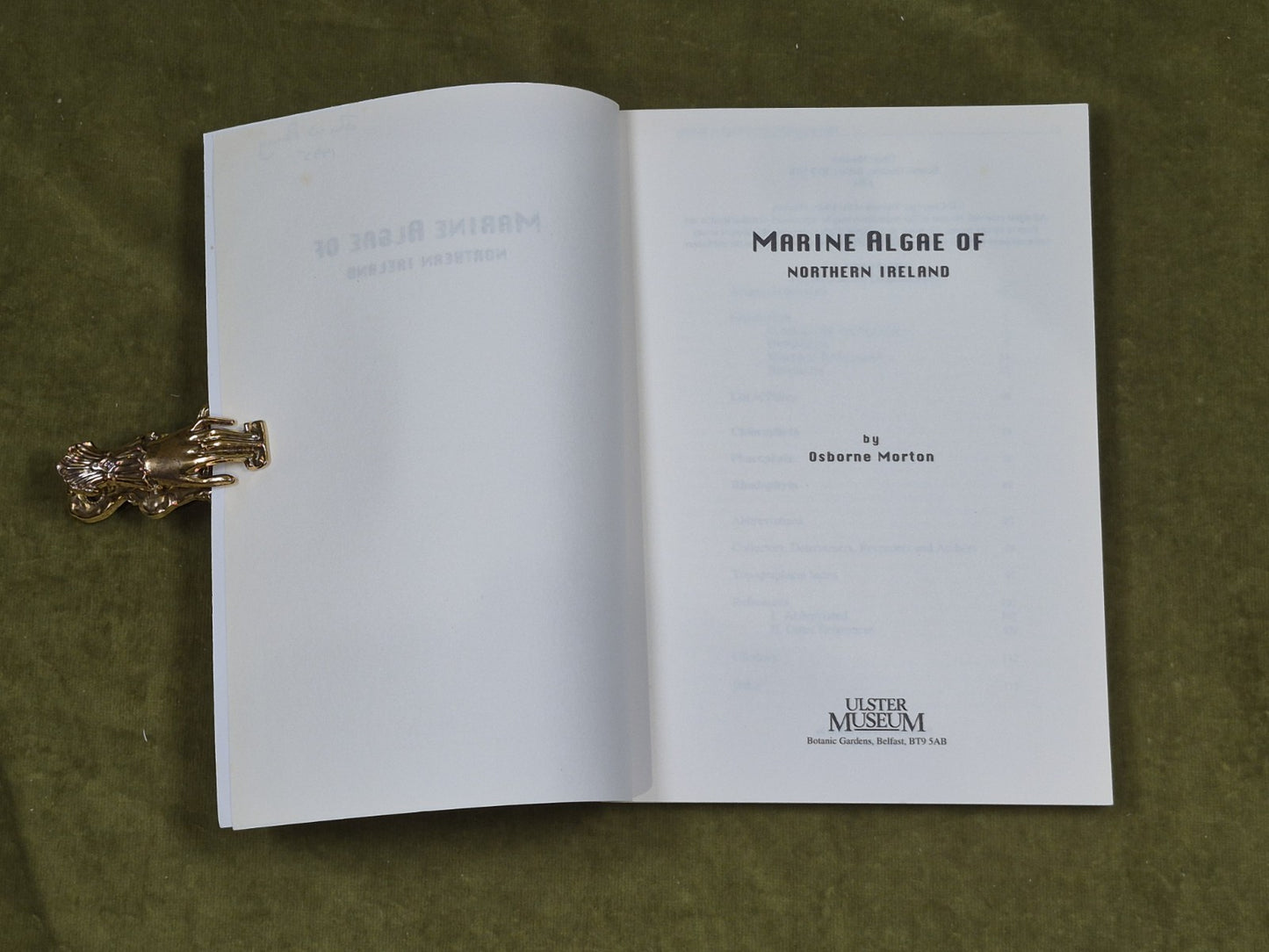 Marine Algae of Northern Ireland - Osbourne Morton , Ulster Museum 1994 PB4