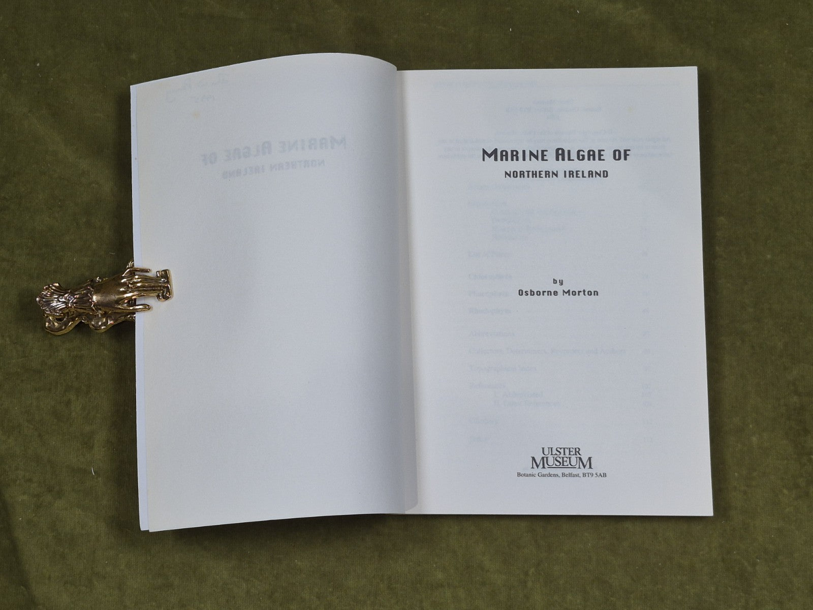 Marine Algae of Northern Ireland - Osbourne Morton , Ulster Museum 1994 PB4