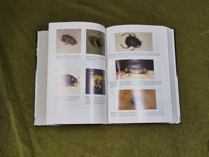 Forensic Entomology : The Utility of Arthropods in Legal Investigations CRC 20006