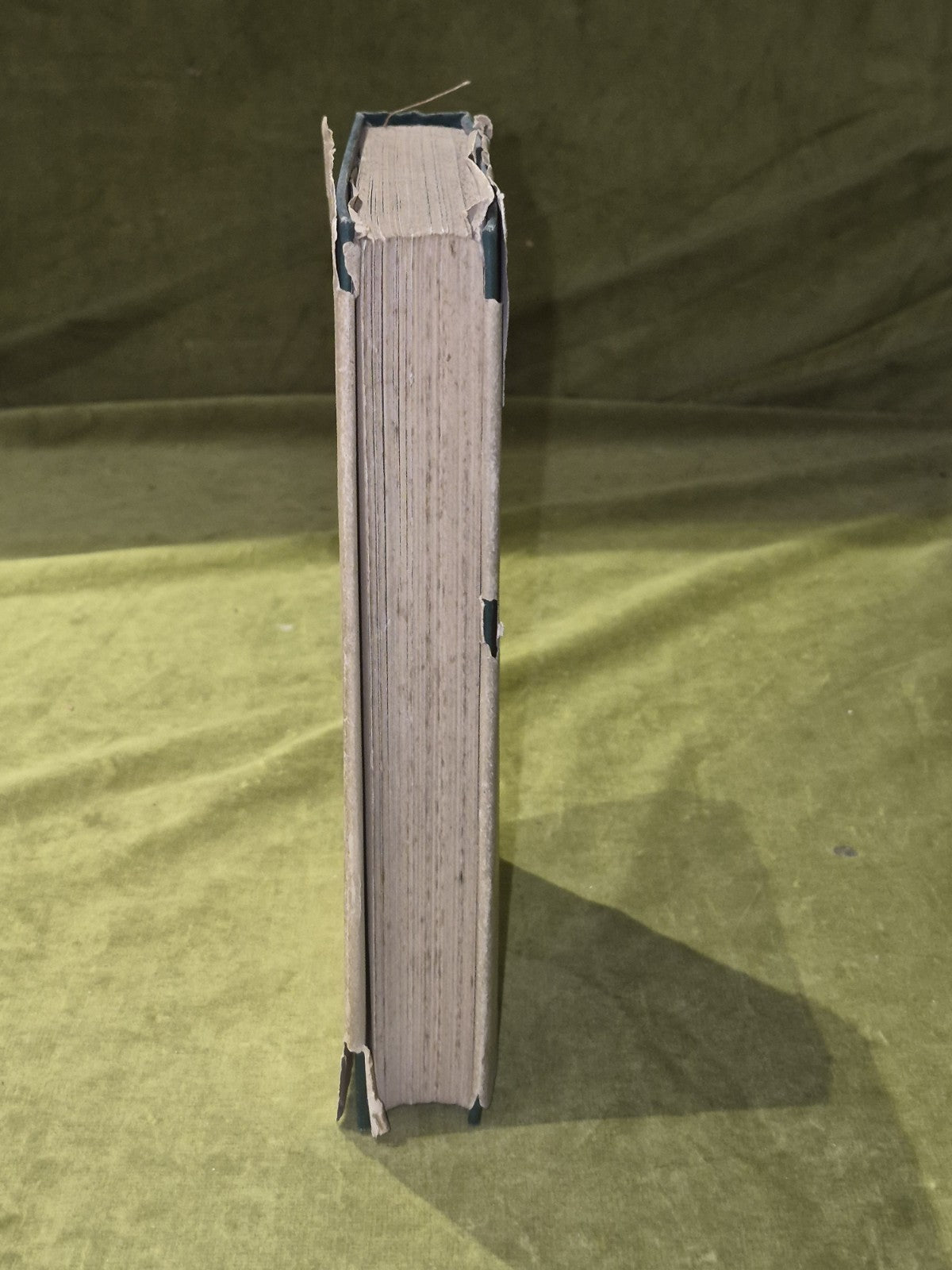 Mary Elizabeth Haldane: a Record of a Hundred Years (1825-1925) 1st Dust J acket5