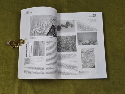 The Self-Made Tapestry : Pattern Formation in Nature - Philip Ball , Oxford PB5