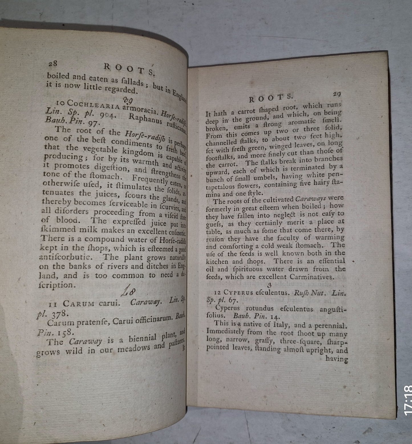 1783 Flora Diaetetica or History of Esculent Plants By Charles Bryant 1st Editn11