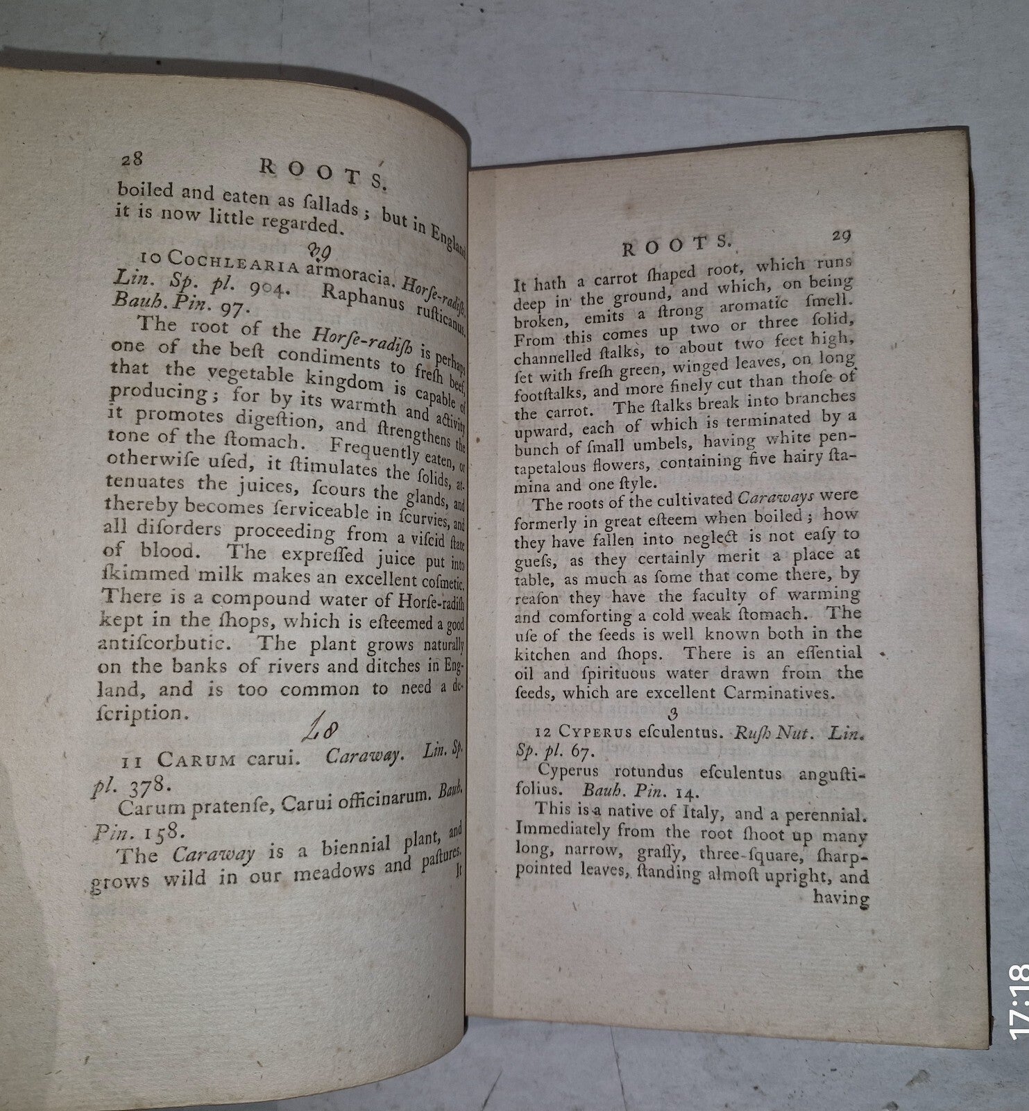 1783 Flora Diaetetica or History of Esculent Plants By Charles Bryant 1st Editn11