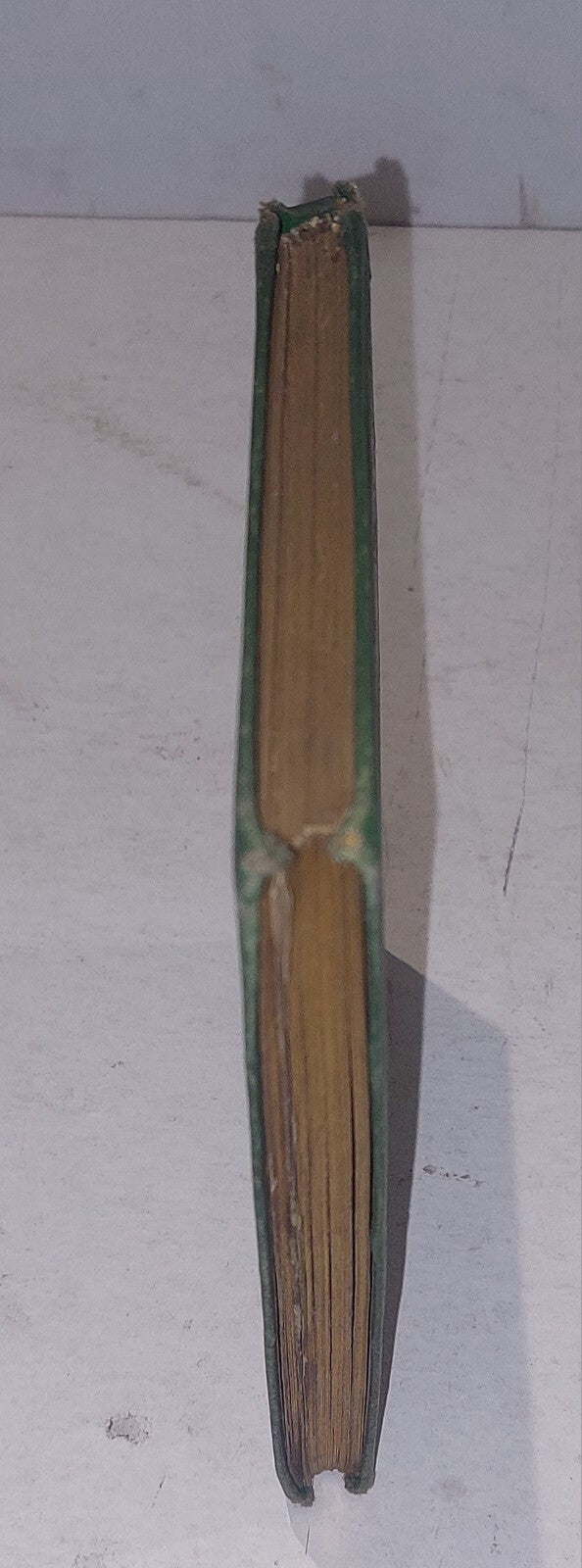 Dunkeld: Its Straths & Glens, Charles McLean 1879. 2