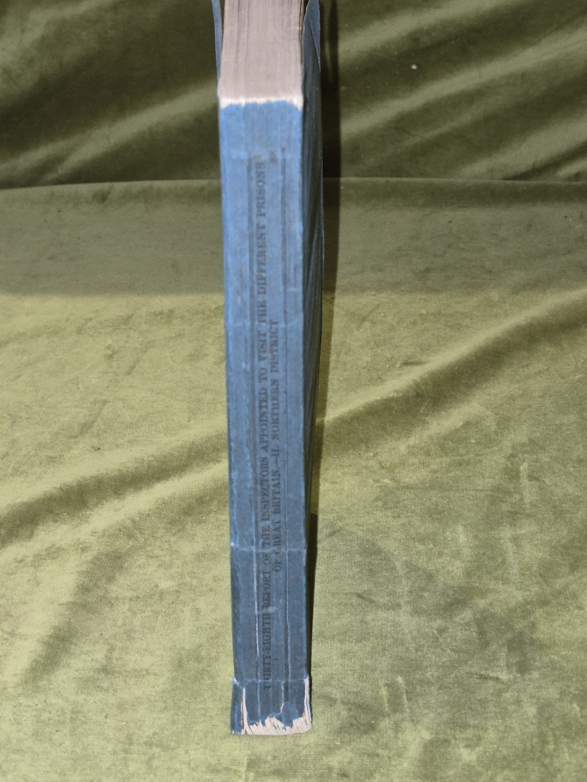 1874 Thirty-Eighth Report of the Inspectors of the Prisons of Great Britain3