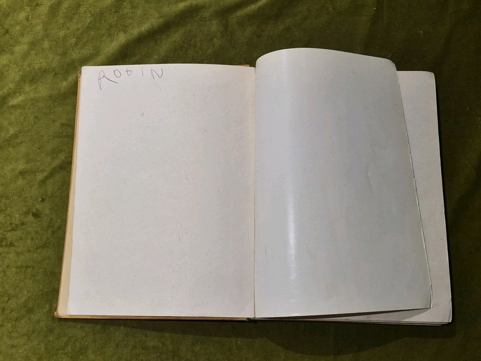 The Peter Pan Picture Book -1925 Vintage HC- Alice B Woodward & Daniel O'Connor6