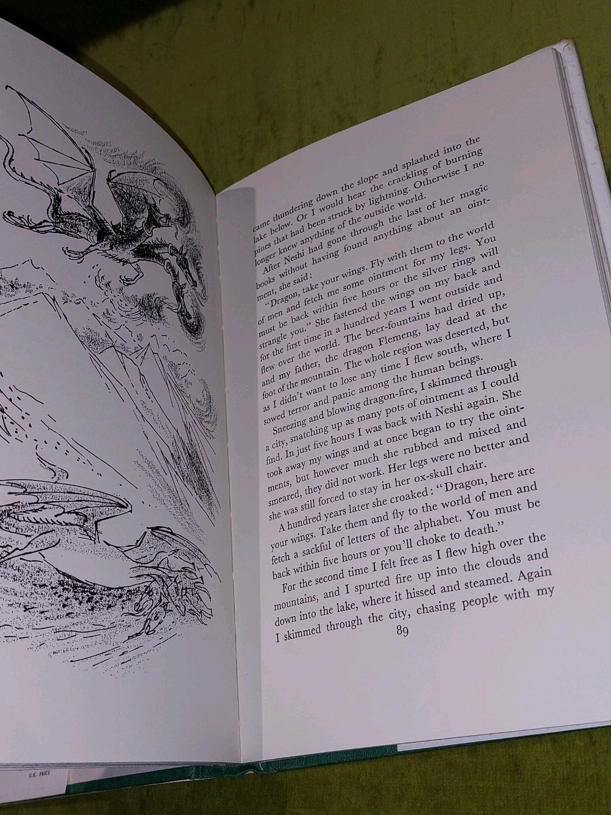 Paul Biegel The King of the Copper Mountains 1st Edition (1969)8