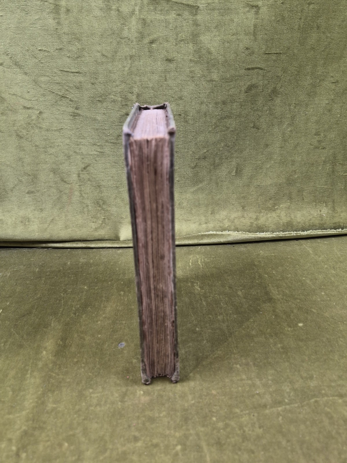 Rambles in the Far North R. MENZIES FERGUSSON 1884 Gardner 2nd Edition7