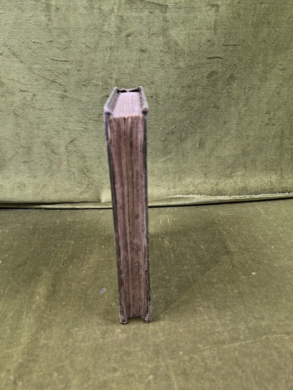 Rambles in the Far North R. MENZIES FERGUSSON 1884 Gardner 2nd Edition7