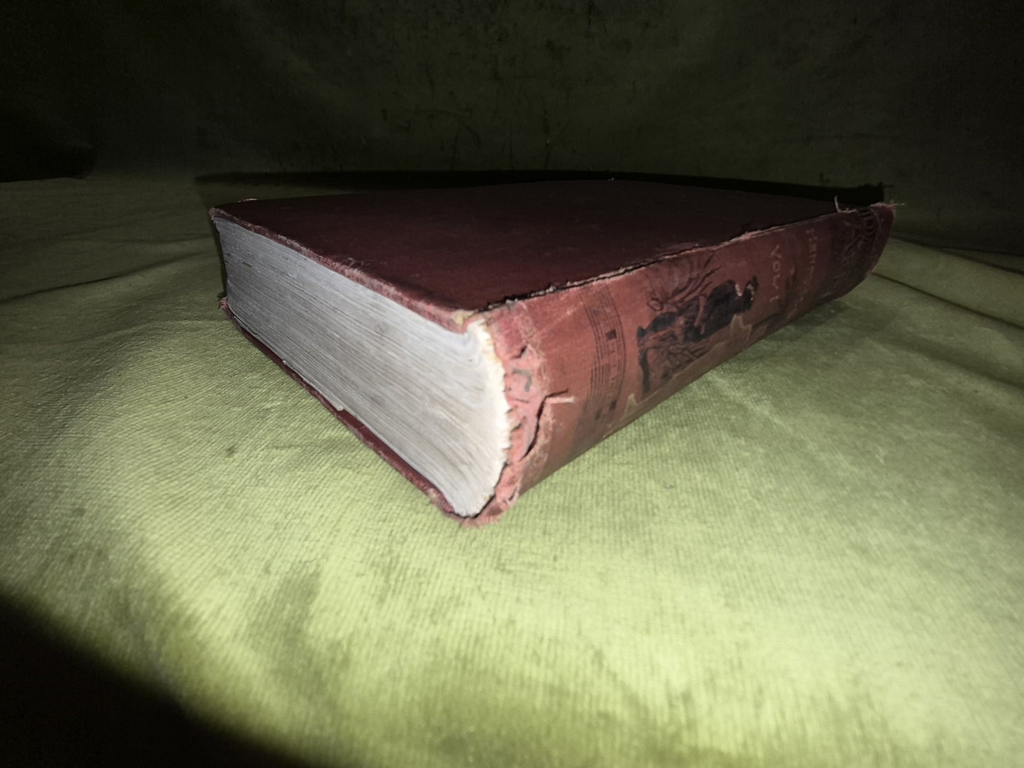 IN DARKEST AFRICA - HENRY M. STANLEY 2 Volume Edition Sampson Low Marston 1890 4