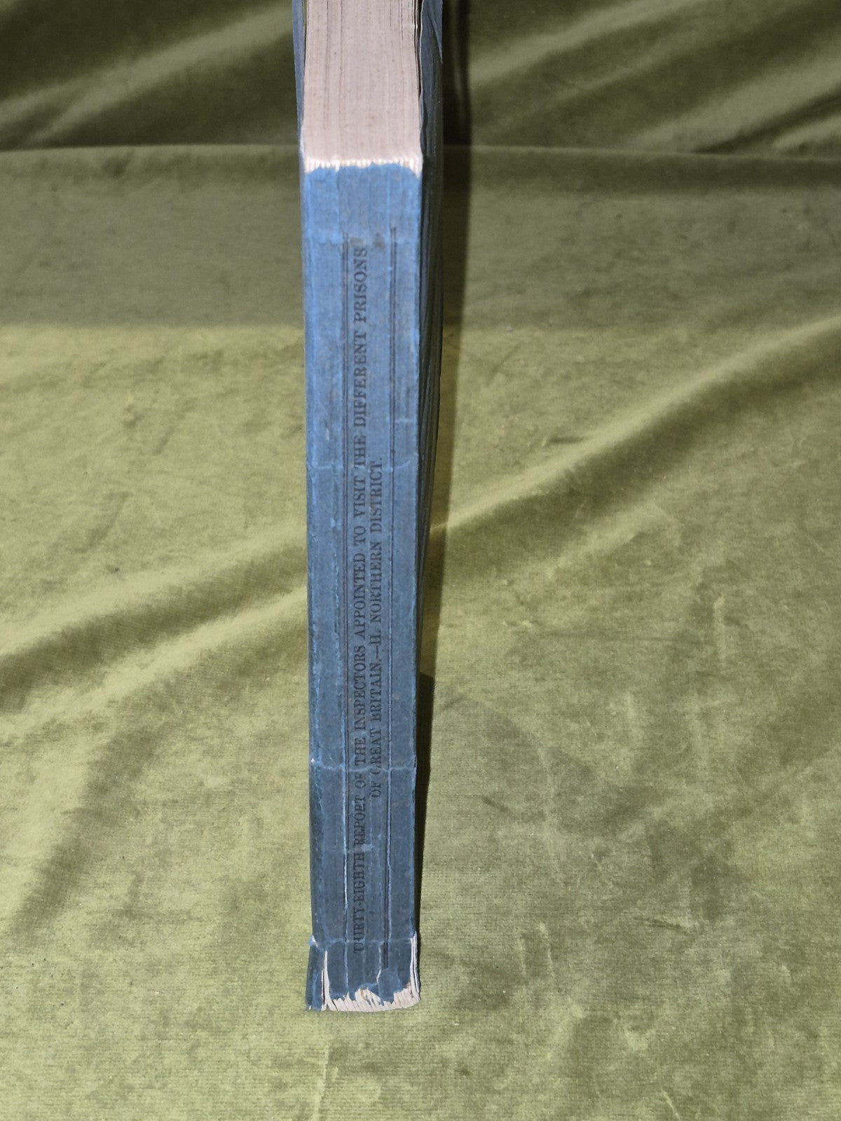 1874 Thirty-Eighth Report of the Inspectors of the Prisons of Great Britain2