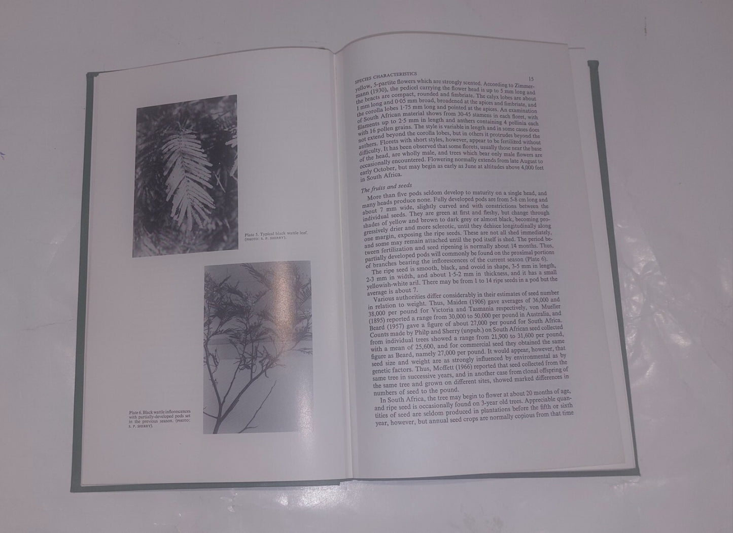 The Black Wattle By S. P. Sherry, University Of Natal Press (1971) Book6