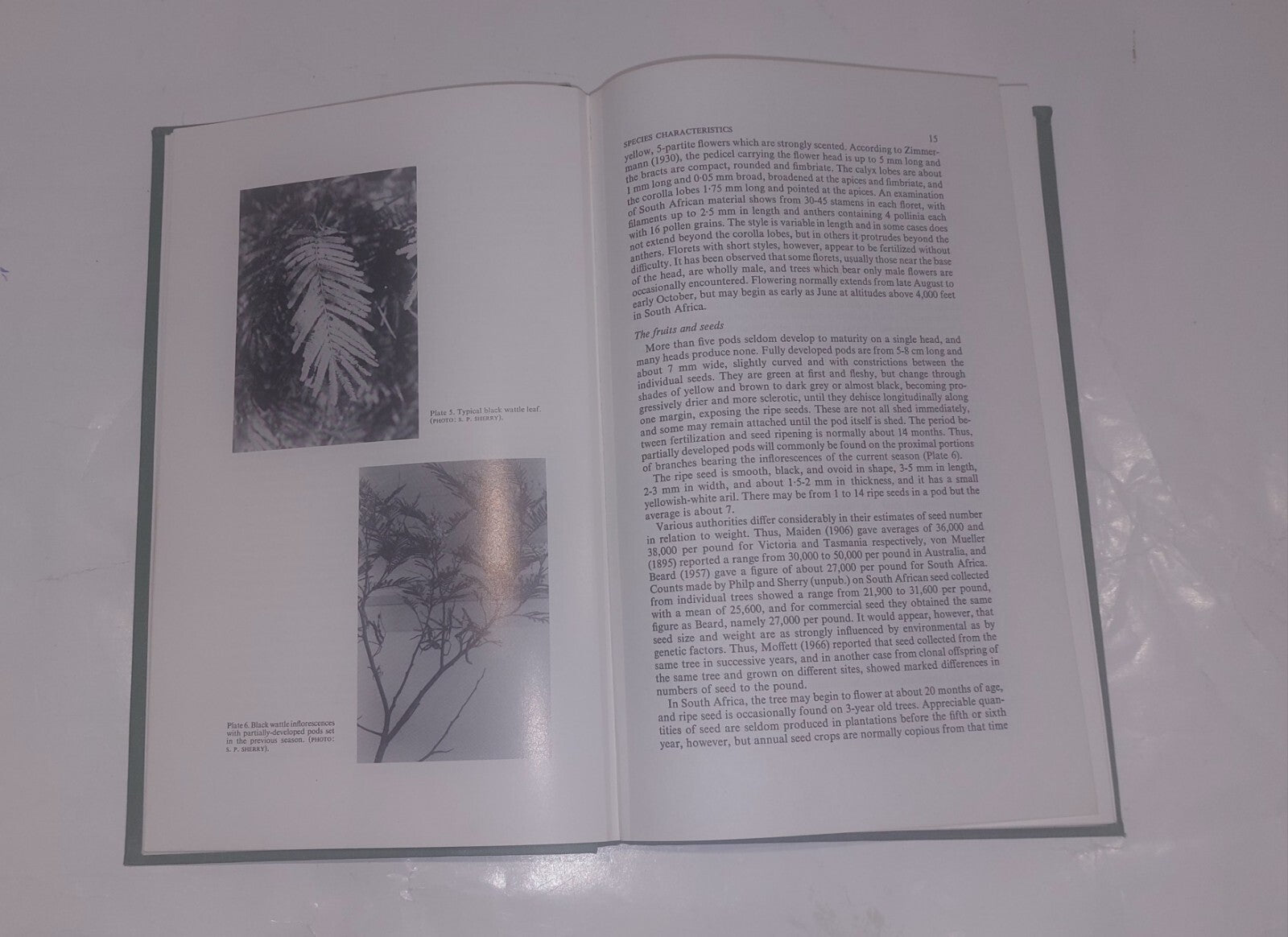 The Black Wattle By S. P. Sherry, University Of Natal Press (1971) Book6