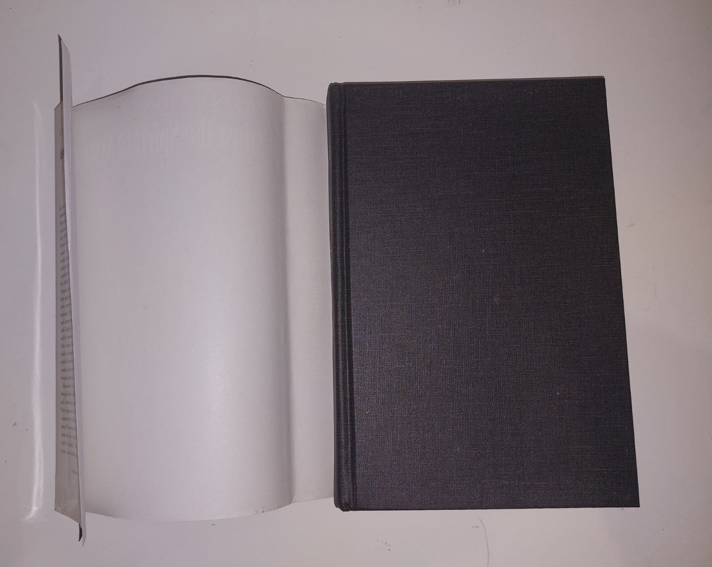 Against The Spirit Of System, John Warner, Princeton Uni Press (1998) Book2