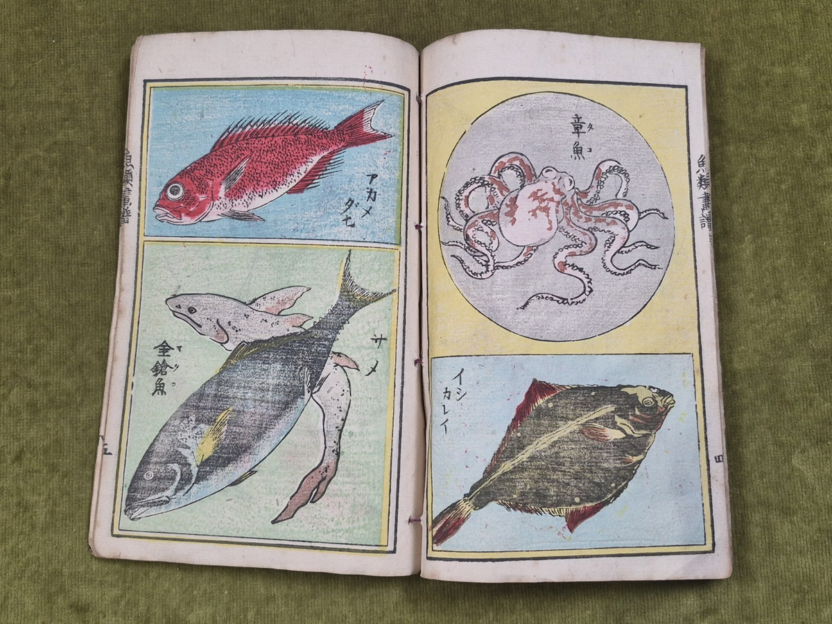Seisai Yoshimura Utagawa 歌川芳邨 Ohashido Fish Book gyorui syo 魚類書譜大橋堂板 Woodblock11