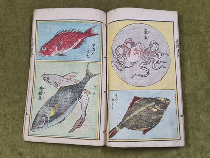 Seisai Yoshimura Utagawa 歌川芳邨 Ohashido Fish Book gyorui syo 魚類書譜大橋堂板 Woodblock11