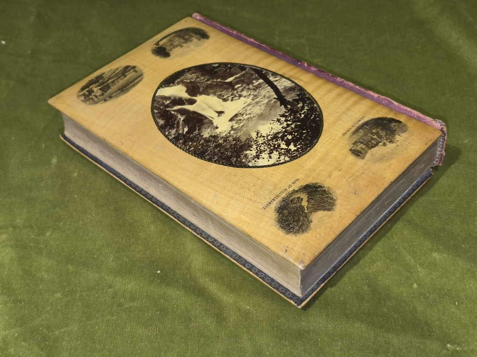 MAUCHLINE  WARE Poetical Works Of Sir Walter Scott  engravings - Gall & Inglis7