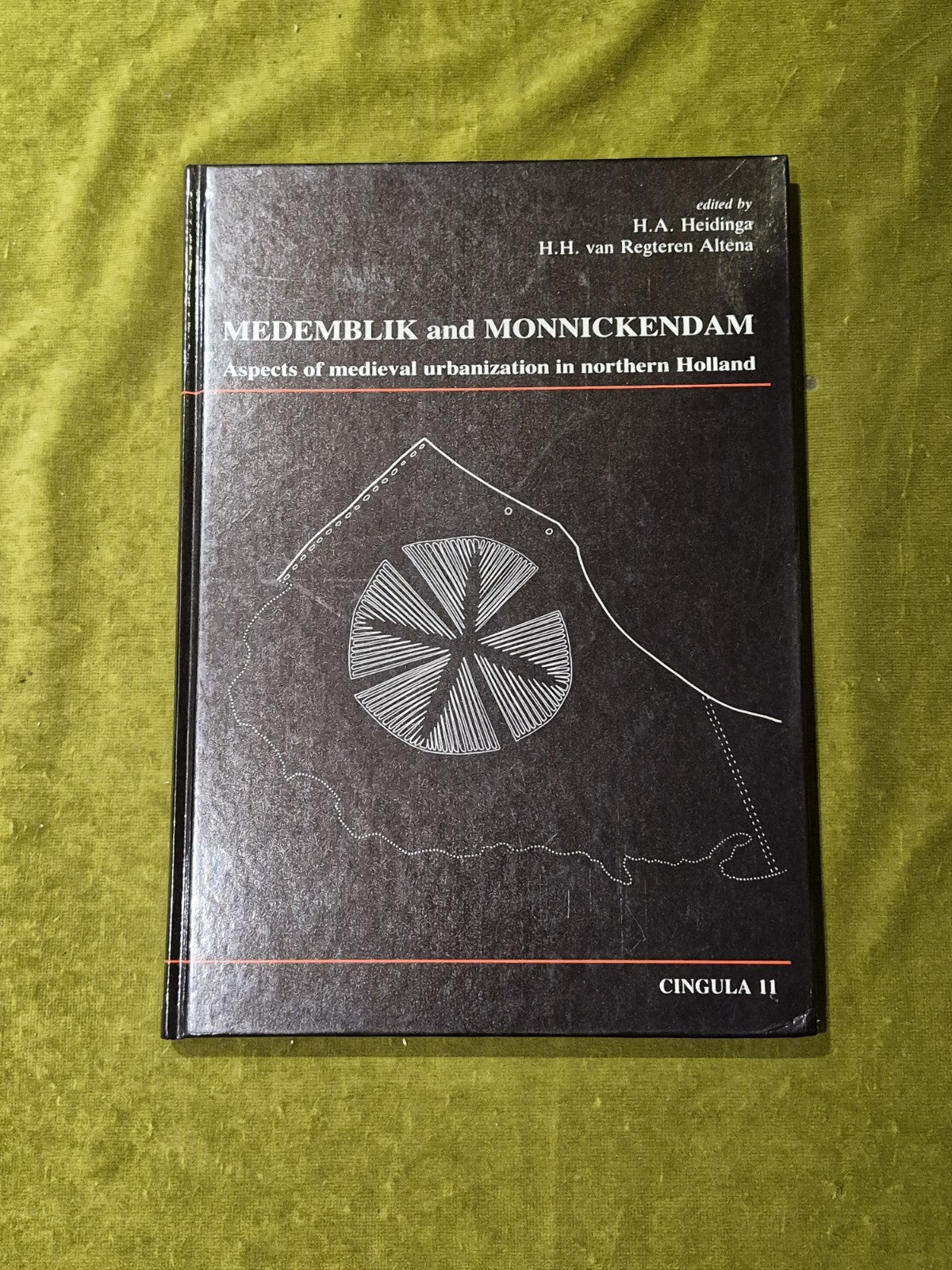 Medemblik and Monnickendam: Aspects of medieval Urbanization in Northern Holland0