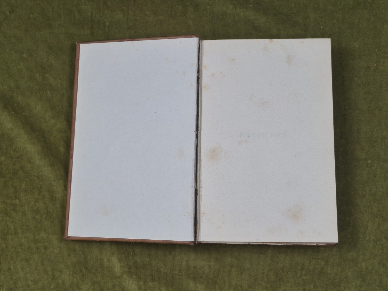 Robert Dick Geologist & Botanist by Samuel Smiles , John Murray 1878 1st Leather3