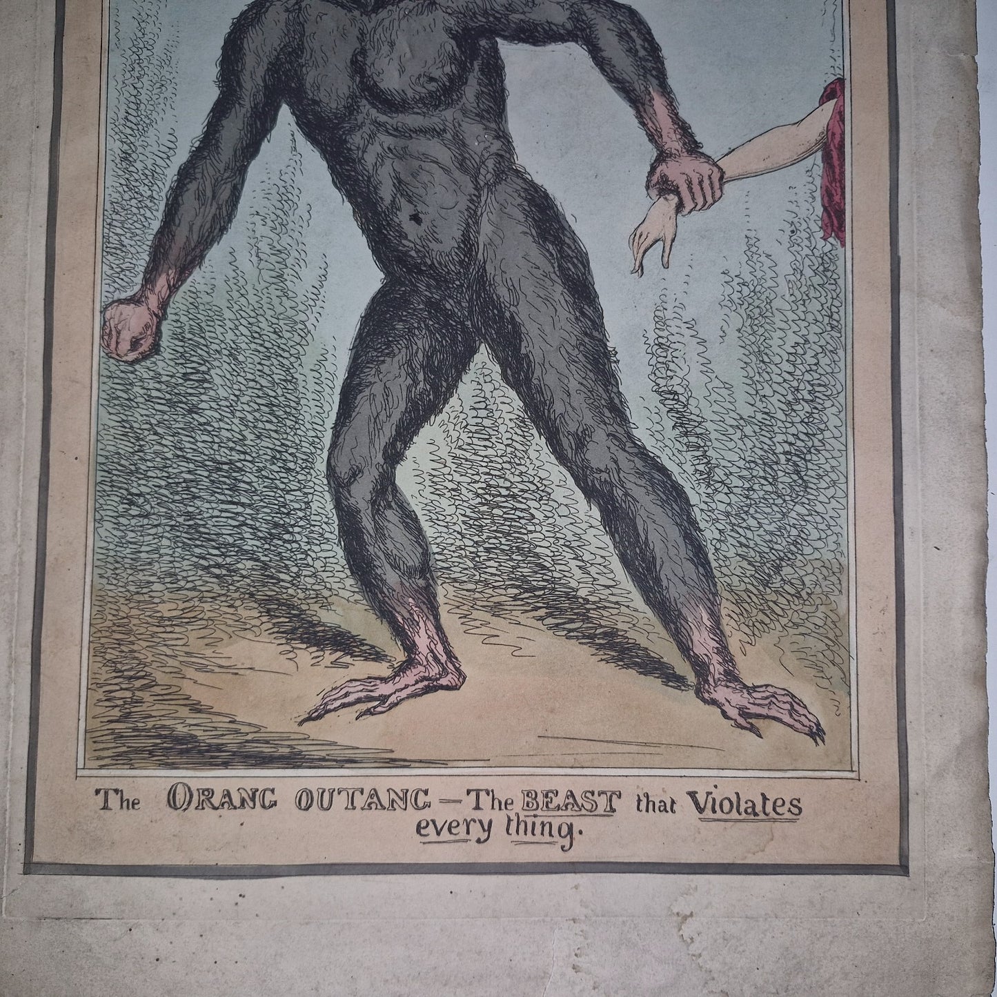Antique Satirical Political Print. The Orang Outang  The Beast That Violates...3