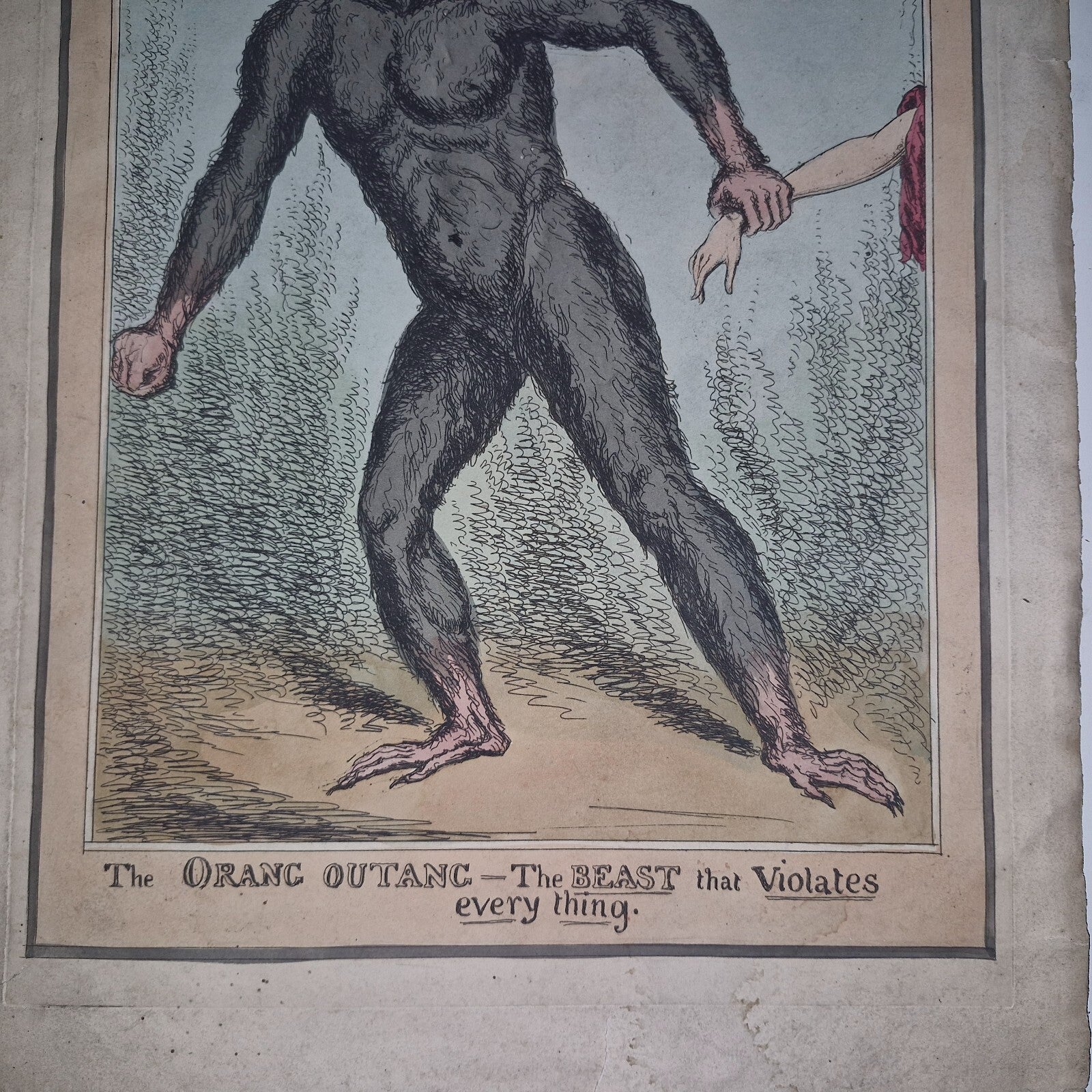 Antique Satirical Political Print. The Orang Outang  The Beast That Violates...3