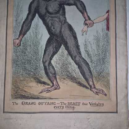 Antique Satirical Political Print. The Orang Outang  The Beast That Violates...3