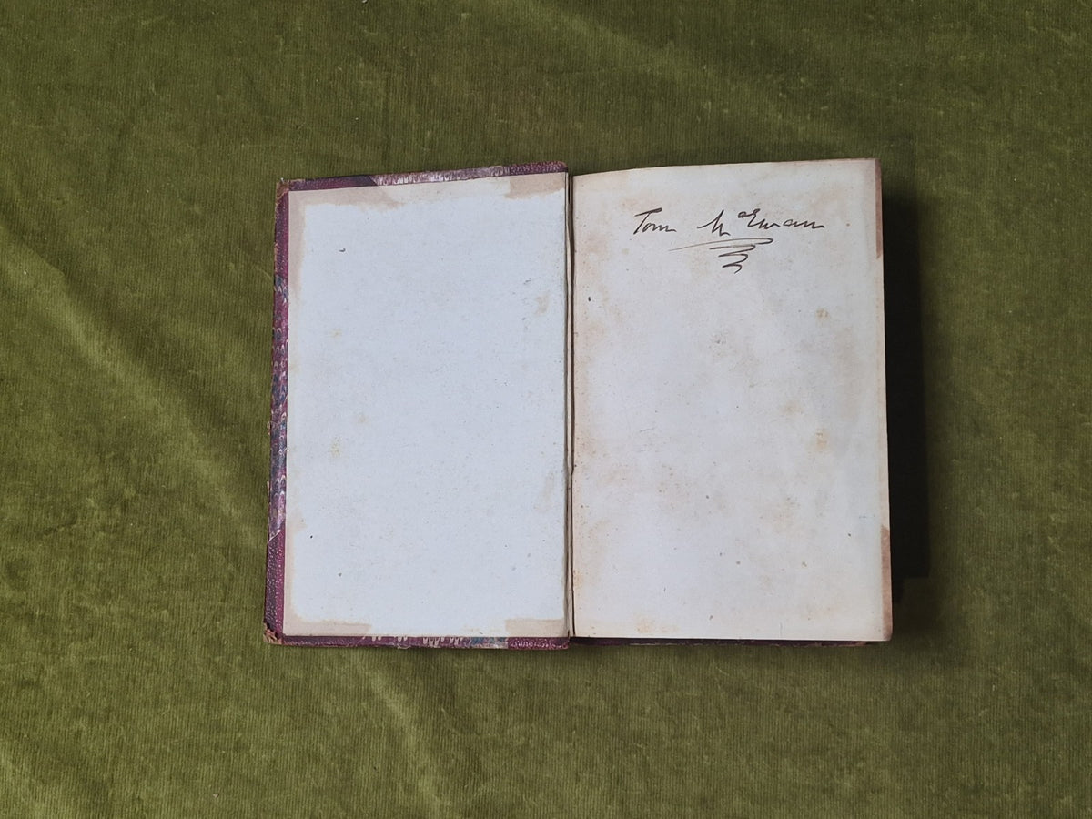 David Gray & Other Essays Chiefly on Poetry - Robert Buchanan , Sampson Low 18684