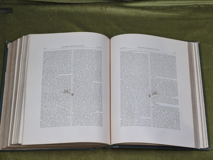 O'connell Centenary Record 1875 - Joseph Dollard 1878 1st13