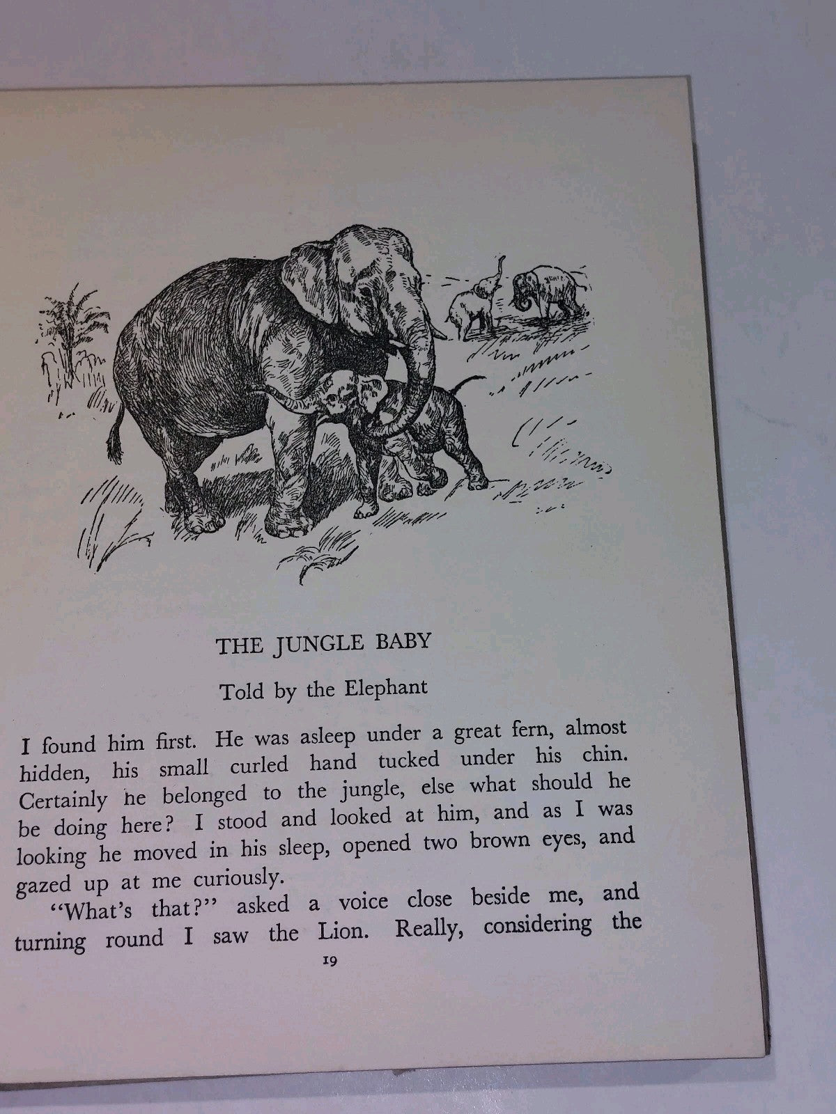 Told by the Animals with "Come to Life" Pop up Panorama Illustrater Edwin Noble5