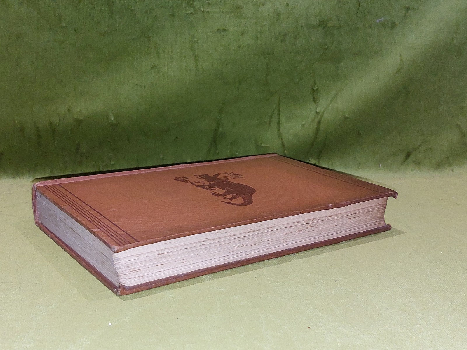 Extinct Monsters - Rev H N Hutchinson (1897) [Chapman & Hall] 5th Ed Hb Book9