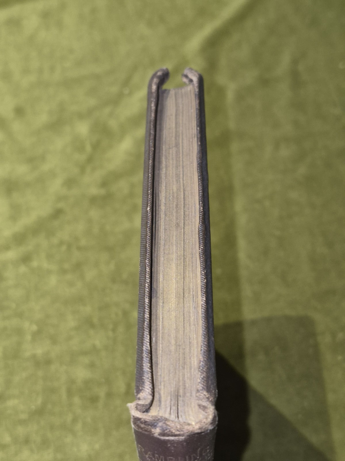 Rambling Recollections of Old Glasgow Nestor 1880 John Tweed2