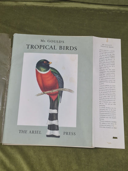 Mr. Gould's Tropical Birds, 24 Exquisite Colour Plates, edited by Eva Mannering1