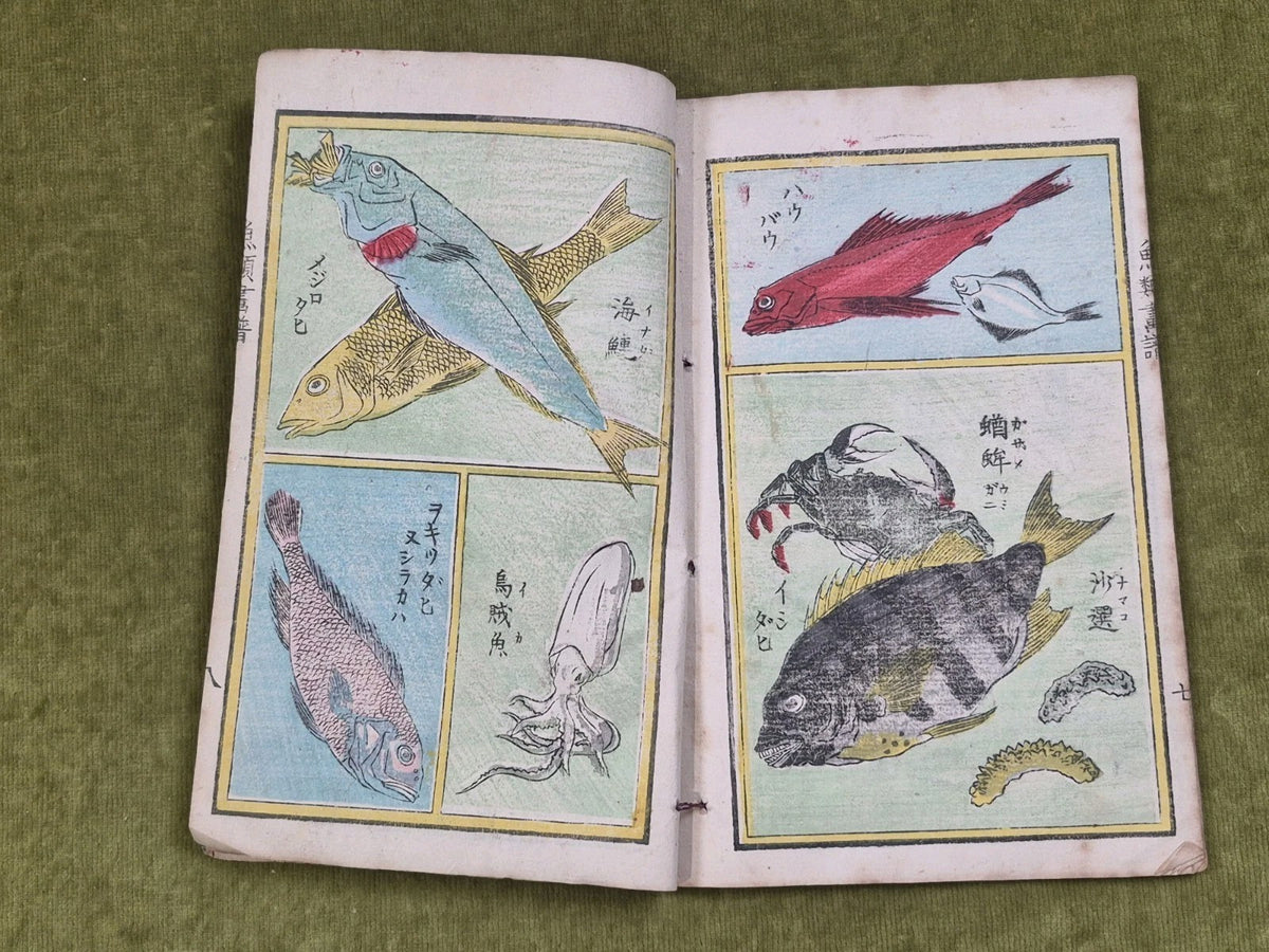 Seisai Yoshimura Utagawa 歌川芳邨 Ohashido Fish Book gyorui syo 魚類書譜大橋堂板 Woodblock13