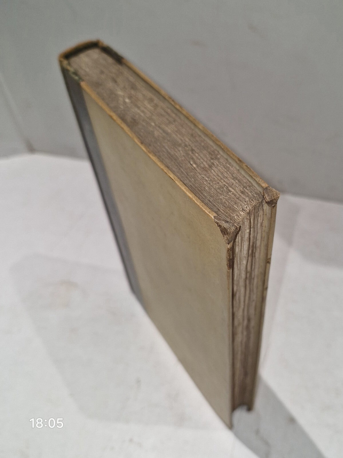 1829 1st THE TOWER MENAGERIE Edward Bennett NATURAL HISTORY Animals ENGRAVINGS1