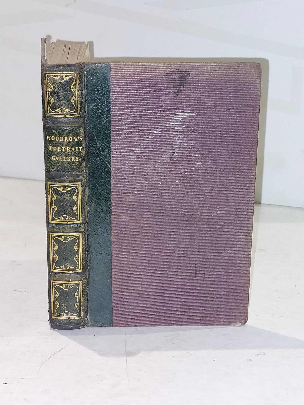 G. Woodrow  Biographical Portrait Gallery 1837 Three Hundred Portraits0